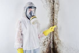 Trusted St John, KS Mold Removal Services Experts